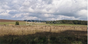 terrain à la vente -   58130  OUROUER, surface 3000 m2 vente terrain - UBI439676384